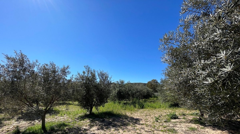 Almería - Sorbas - 39000m2