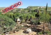 Casa de camp amb terreny en venda a la España, Sorbas, ref.: TR17282 foto