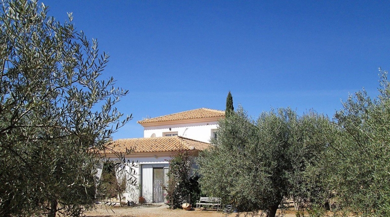 Almería - Moras - 3830m2