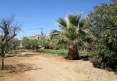 Casa de camp amb terreny en venda a la España, Sorbas, ref.: TR17282 foto