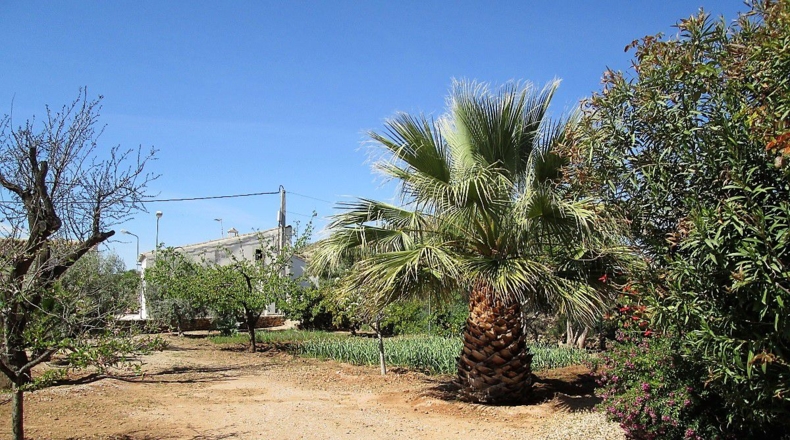 Almería - Moras - 3830m2