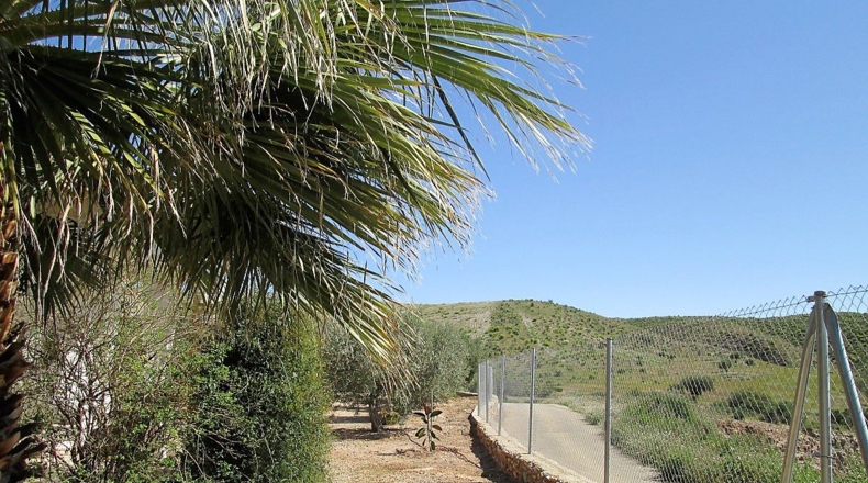 Almería - Moras - 3830m2