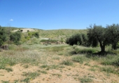 Casa de camp amb terreny en venda a la España, Sorbas, ref.: TR17282 foto