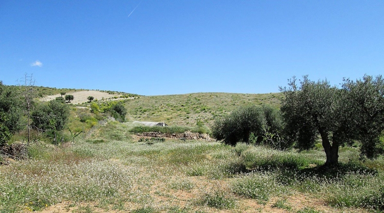 Almería - Moras - 3830m2