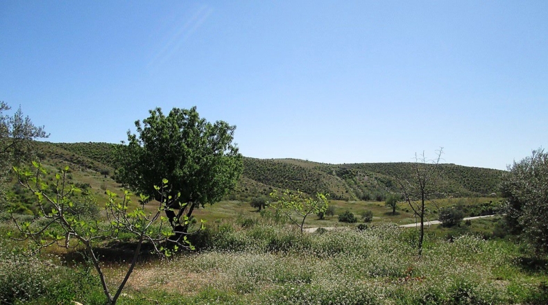 Almería - Moras - 3830m2