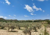 Terreny no urbanitzable en venda a la España, Sorbas, ref.: TR34321 foto
