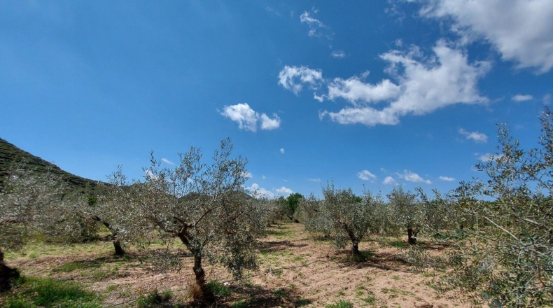 Almería - La Mela - 4443m2