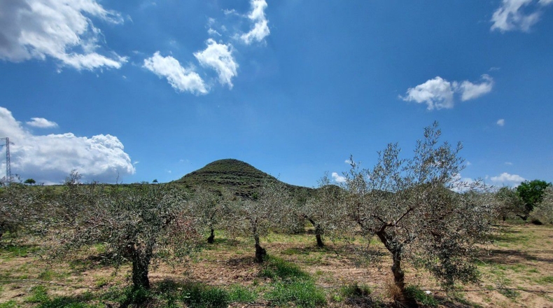Almería - La Mela - 4443m2