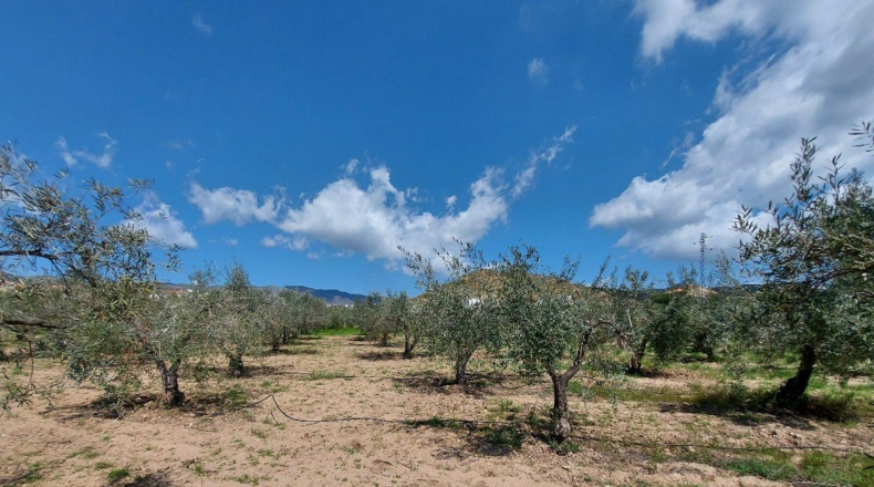 Almería - La Mela - 4443m2