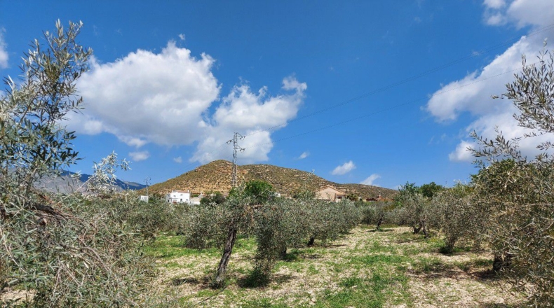 Almería - La Mela - 4443m2