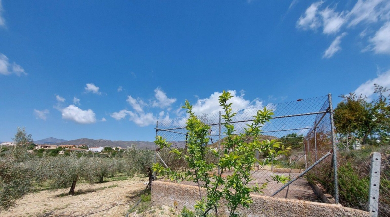 Almería - La Mela - 4443m2