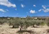 Terreny no urbanitzable en venda a la España, Sorbas, ref.: TR34321 foto