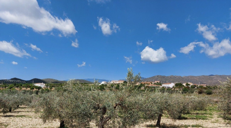 Almería - La Mela - 4443m2
