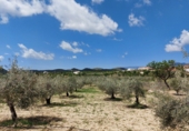 Terreny no urbanitzable en venda a la España, Sorbas, ref.: TR34321 foto