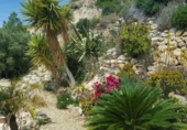 Casa de camp amb terreny en venda a la España, Sorbas, ref.: TR17280 foto
