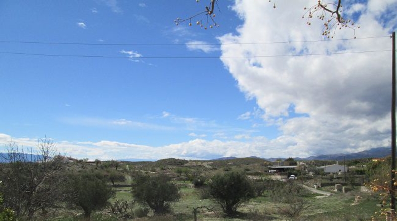 Almería - El Puntal - 5000m2