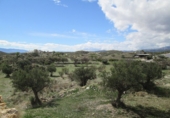 Casa de camp amb terreny en venda a la España, Sorbas, ref.: TR17277 foto