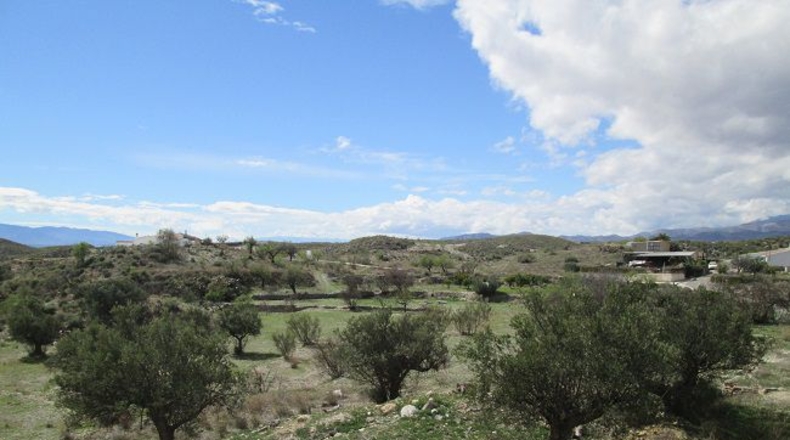 Almería - El Puntal - 5000m2