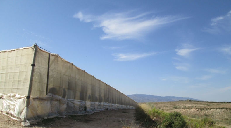 Almería - Tabernas - 130000m2