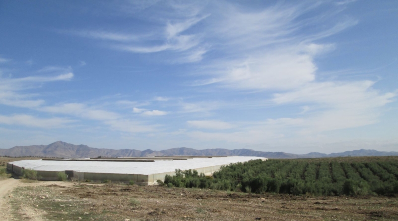 Almería - Tabernas - 130000m2
