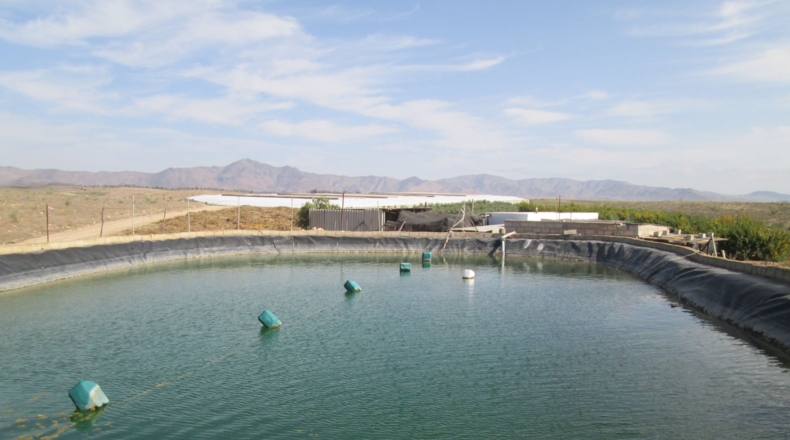 Almería - Tabernas - 130000m2