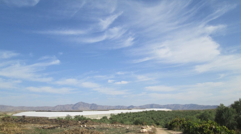 Almería - Tabernas - 130000m2