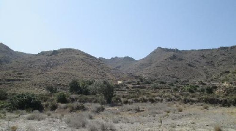 Almería - Mizala - 100000m2