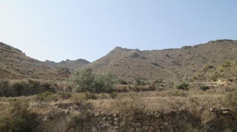 Almería - Mizala - 100000m2