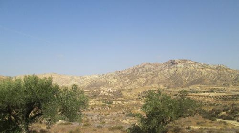 Almería - Mizala - 100000m2