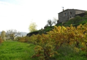 Casa de camp amb terreny en venda a la España, Senés, ref.: TR17261 foto