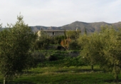 Casa de camp amb terreny en venda a la España, Senés, ref.: TR17261 foto