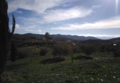 Casa de camp amb terreny en venda a la España, Senés, ref.: TR17261 foto