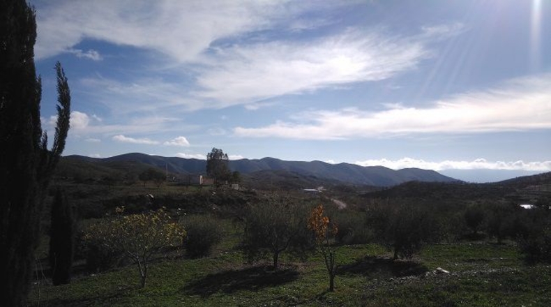 Almería - Senés - 10565m2