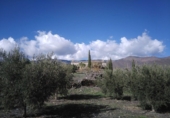 Casa de camp amb terreny en venda a la España, Senés, ref.: TR17261 foto