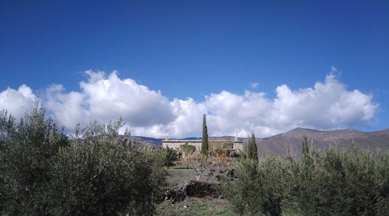 Almería - Senés - 10565m2