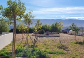 Casa de camp amb terreny en venda a Tabernas ref.: TR17246 foto