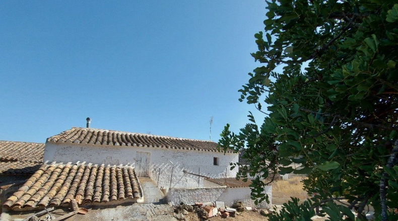 Almería - Gochar - 590m2