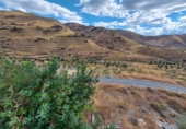 Casa de camp amb terreny en venda a la España, Senés, ref.: TR17222 foto