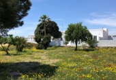 Загородный дом с участком на продажу в городе Cabo de Gata. Фото