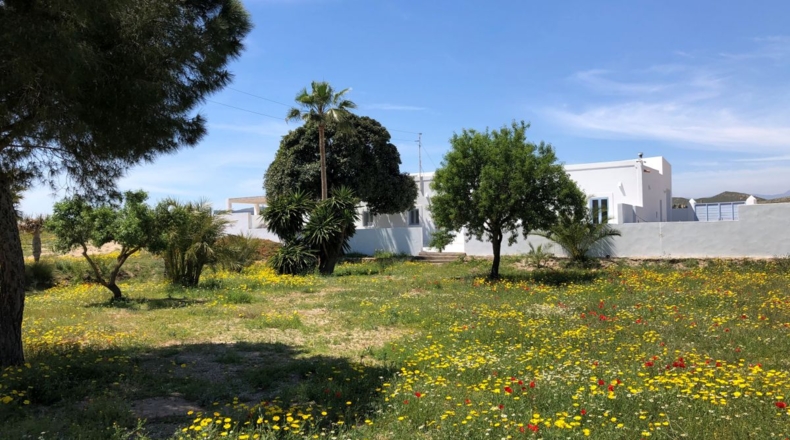 Almería - Cabo de Gata - 7800m2