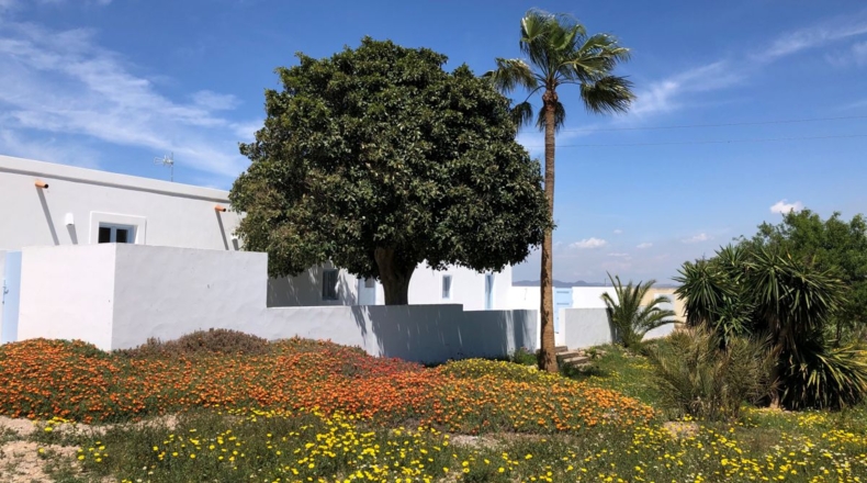 Almería - Cabo de Gata - 7800m2
