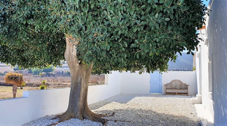 Almería - Cabo de Gata - 7800m2