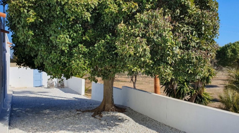 Almería - Cabo de Gata - 7800m2