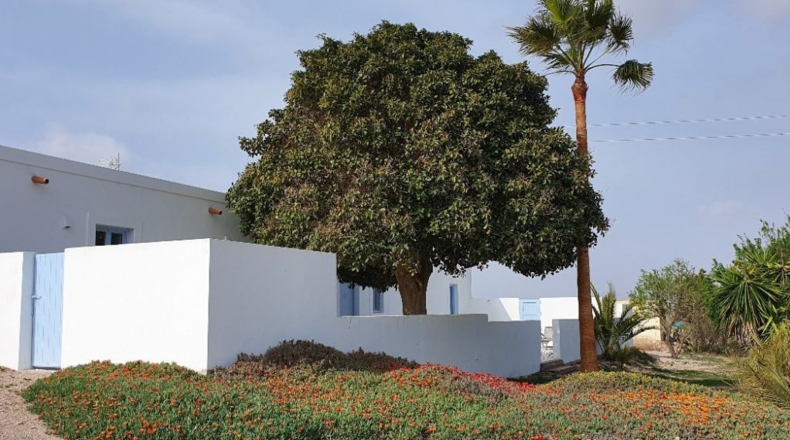 Almería - Cabo de Gata - 7800m2