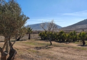 Загородный дом с участком на продажу в городе Cabo de Gata. Фото