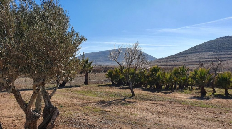 Almería - Cabo de Gata - 7800m2