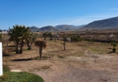 Загородный дом с участком на продажу в городе Cabo de Gata. Фото