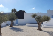 Загородный дом с участком на продажу в городе Cabo de Gata. Фото