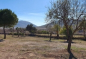 Загородный дом с участком на продажу в городе Cabo de Gata. Фото