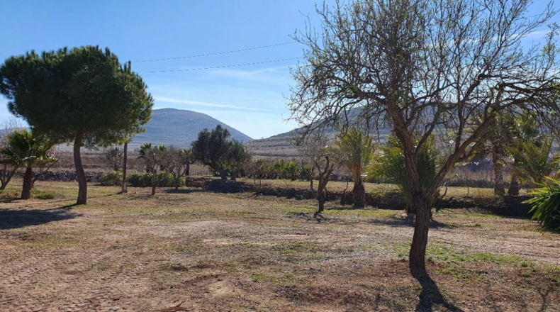 Almería - Cabo de Gata - 7800m2